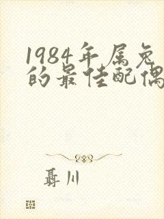 1984年属兔的最佳配偶属相