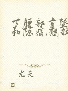 下腹部有坠胀感和隐痛,想拉大便