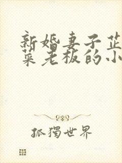 新婚妻子芷姗与菜老板的小说