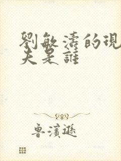 刘敏涛的现任丈夫是谁封面