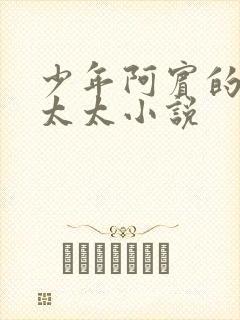少年阿宾的房东太太小说