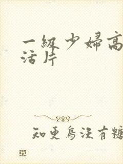 一级少妇高清生活片