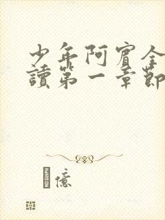 少年阿宾全文阅读第一章节房东太太封面