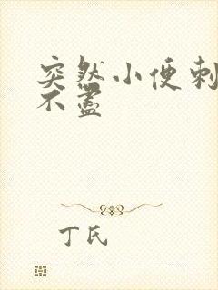 突然小便刺痛尿不尽封面