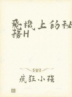 飞机上的秘密服务H封面