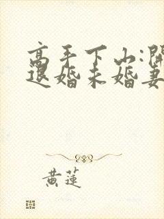 高手下山:开局退婚未婚妻哪里有完结的