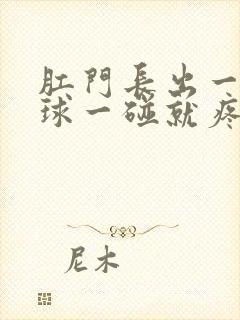 肛门长出一个肉球一碰就疼封面