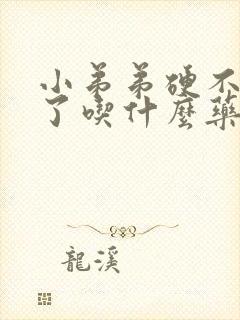 小弟弟硬不起来了吃什么药封面