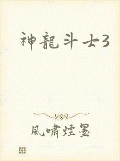 神龙斗士3封面