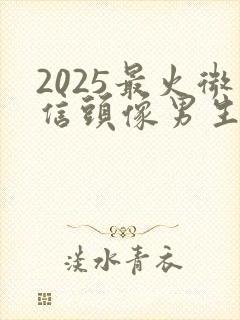 2025最火微信头像男生用封面