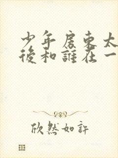 少年房东太太最后和谁在一起了封面