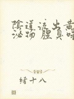 阴道流出黄的分泌物 腥臭味封面