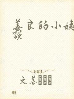 善良的小姨子小说封面