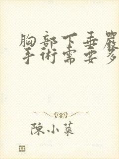 胸部下垂严重做手术需要多少钱