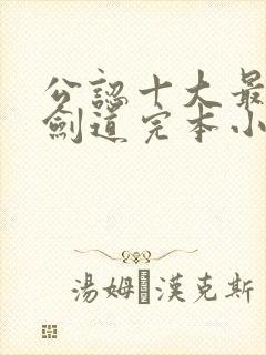 公认十大最好看剑道完本小说