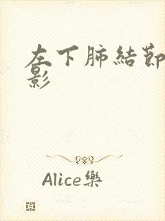 左下肺结节样阴影