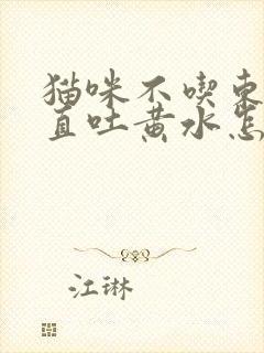 猫咪不吃东西一直吐黄水怎么办