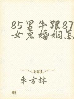 85男牛跟87女兔婚姻怎么样