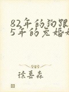 82年的狗跟75年的兔婚姻相配吗