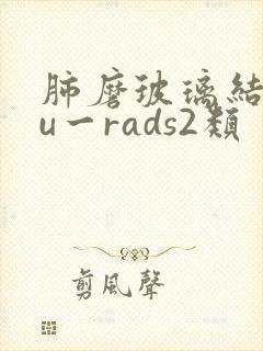 肺磨玻璃结节lu一rads2类