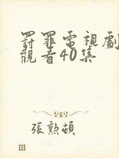 罚罪电视剧免费观看40集