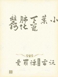 双肺下叶小结节钙化灶