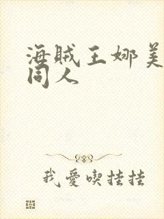 海贼王娜美本子同人封面