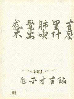 感觉肺里有痰咳不出吃什么药