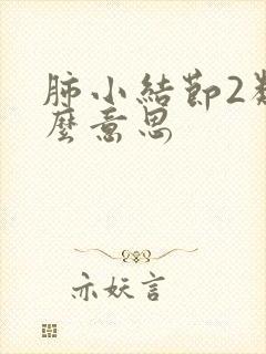 肺小结节2类什么意思