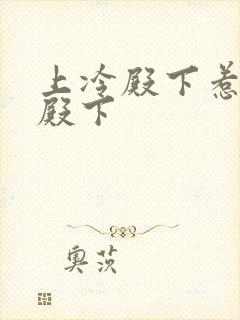 上冷殿下惹上冷殿下封面