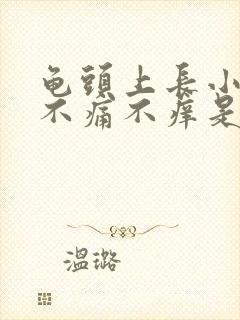 龟头上长小疙瘩不痛不痒是怎么回事