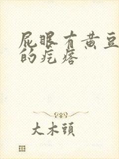 屁眼有黄豆大小的疙瘩