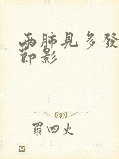 两肺见多发小结节影