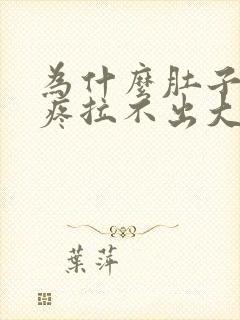 为什么肚子一直疼拉不出大便