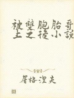 被双胞胎哥哥抢上之后小说