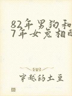 82年男狗和87年女兔相配婚姻如何封面