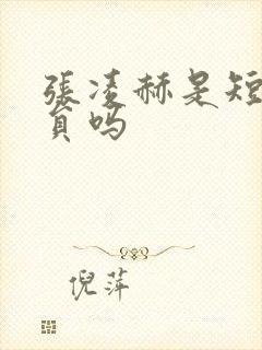 张凌赫是短剧演员吗