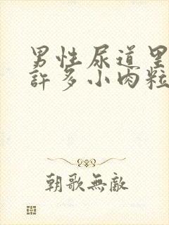 男性尿道里长了许多小肉粒