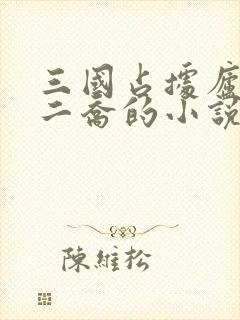 三国占据庐江纳二乔的小说封面