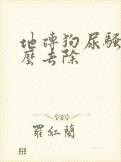 地砖狗尿骚味怎么去除封面