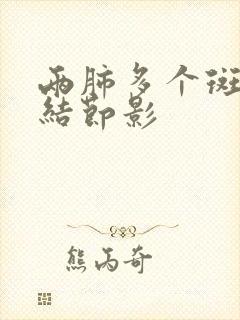 两肺多个斑点小结节影封面