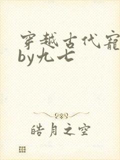 穿越古代宠夫郎by九七