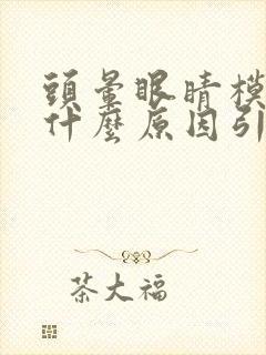 头晕眼睛模糊是什么原因引起