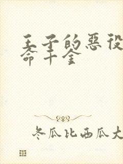 王子的恶役是本命千金