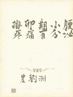 排卵期小腹坠胀疼痛有分泌物