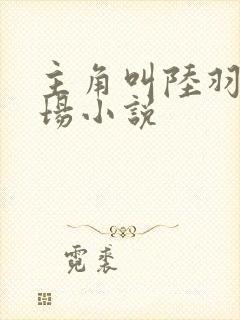 主角叫陆羽的官场小说