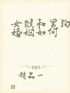 女猴和男狗相配婚姻如何封面