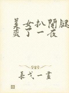 美女扒开腿让我爽了一夜封面