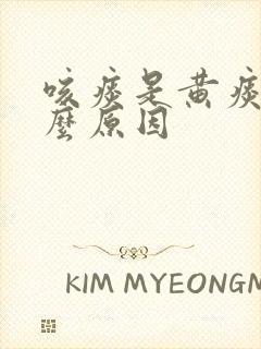 咳痰是黄痰是什么原因