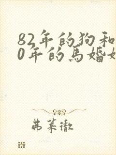 82年的狗和90年的马婚姻好吗封面